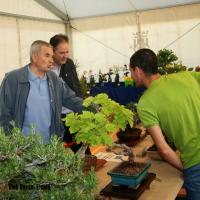 ECOJARDI 2014 011